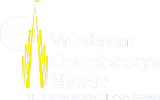Logo VCM